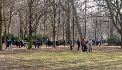 Bild-14